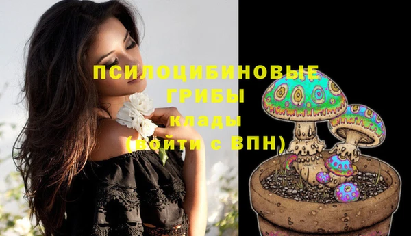дживик Кодинск