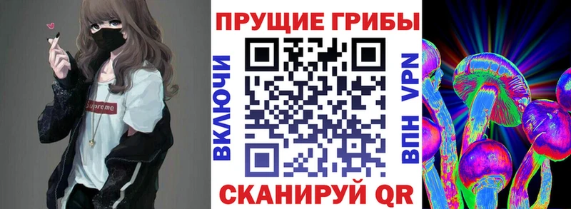 kraken   Артём  Галлюциногенные грибы Psilocybe 
